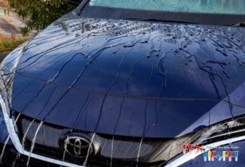 SOFT99 RAIN DROP SPRAY 500 ML / HİDROFOBİK SPREY